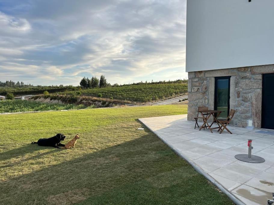 Villa Quinta Do Carregal Mangualde Exterior foto